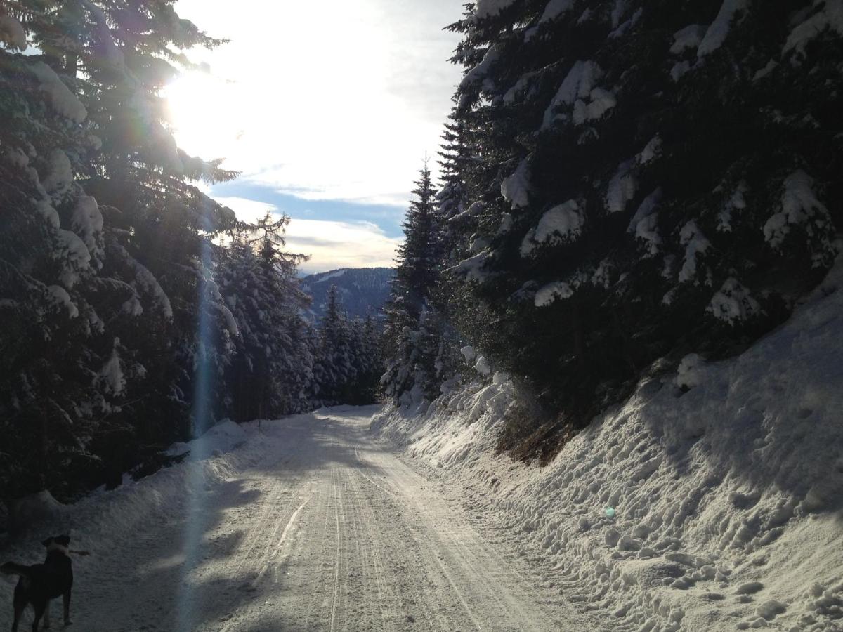 Appartement 2 Chambres