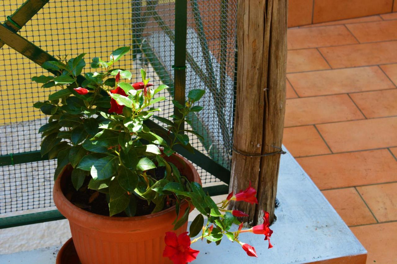 La Bomboniera - B&B