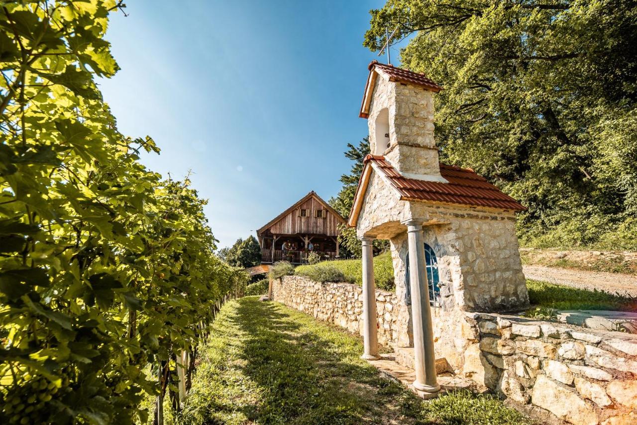 Sleme house - B&B Krška Vas