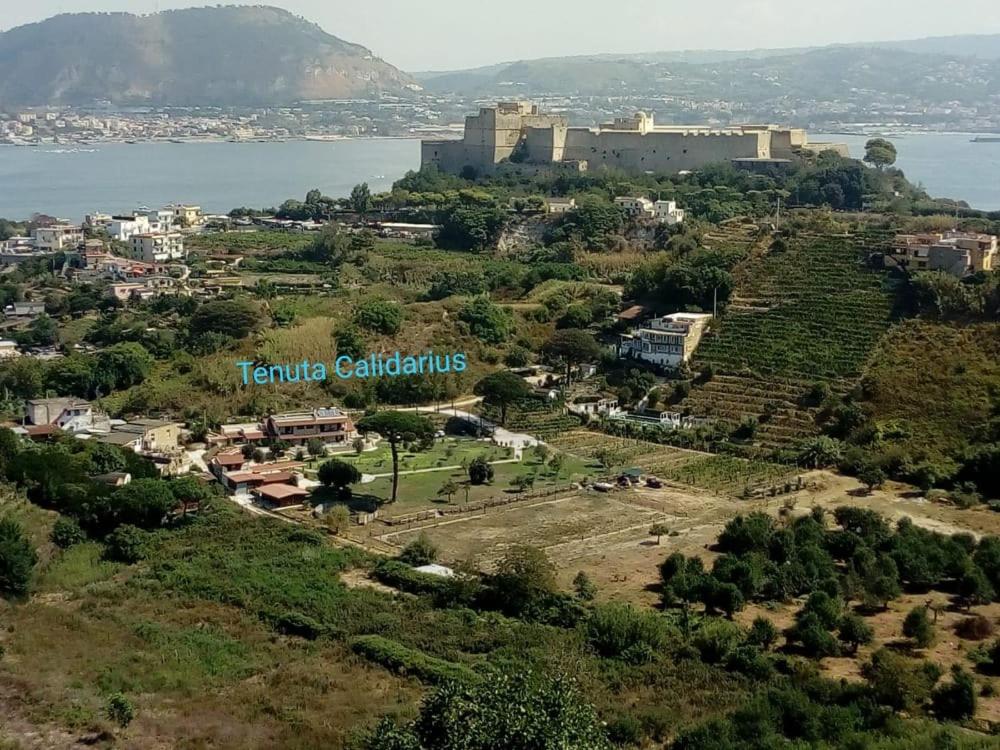 Tenuta calidarius - Bed and Breakfast