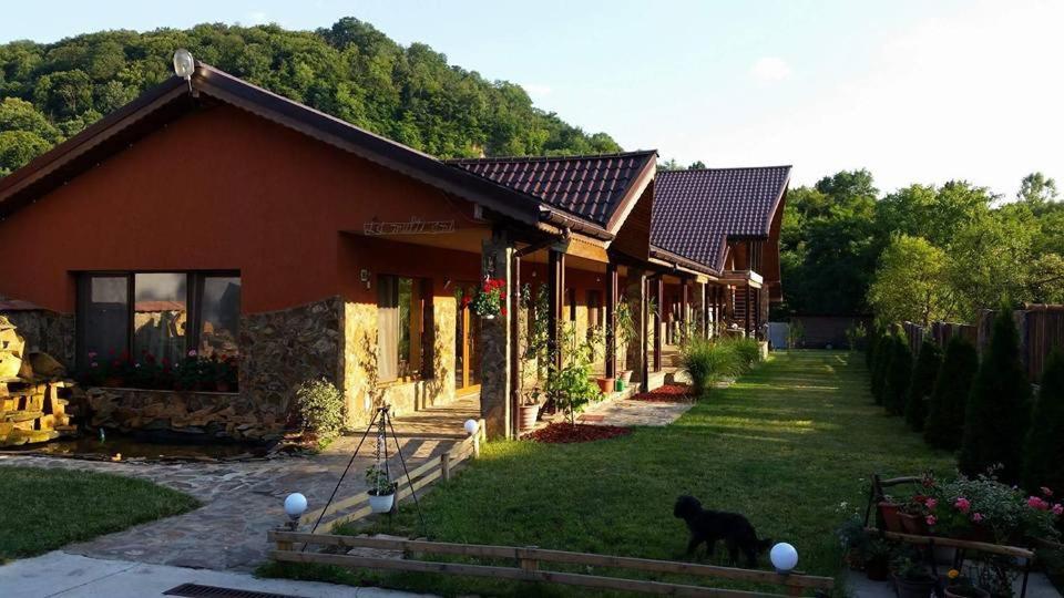 Pensiunea Raiul Munților - B&B