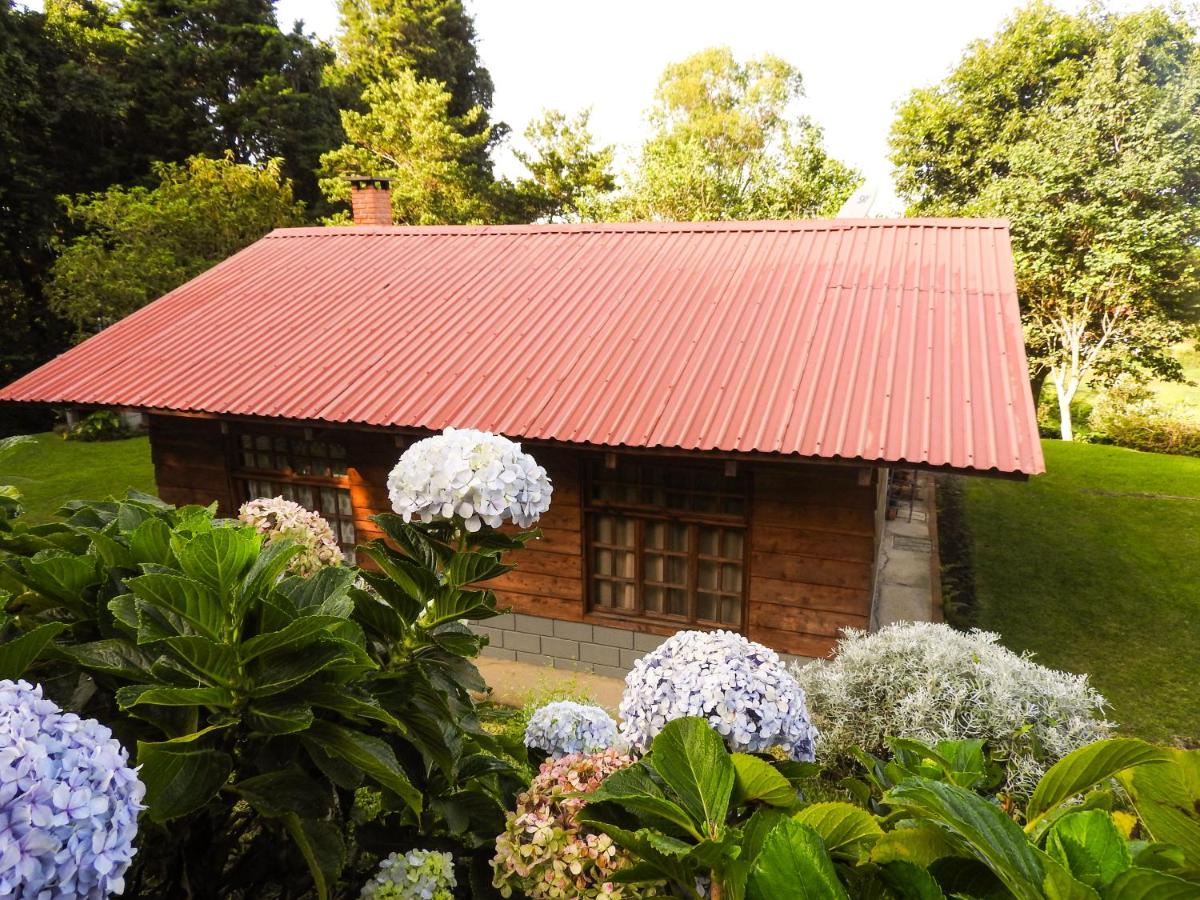 Rancho Amalia - B&B