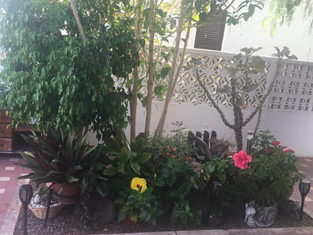 Heavens Garden House - B&B