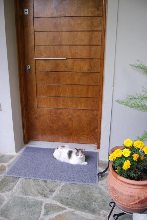 Affordable luxury garden apartment - Bed and Breakfast