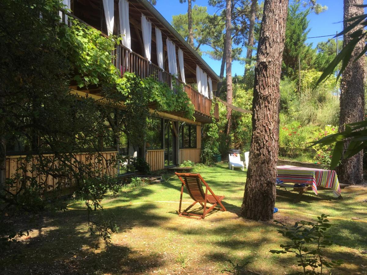 la maison face au port - B&B
