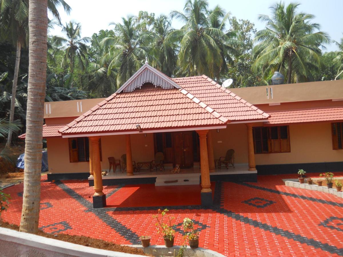 B&B Ottapalam - CoconutCrazy! Homestay - Bed and Breakfast Ottapalam