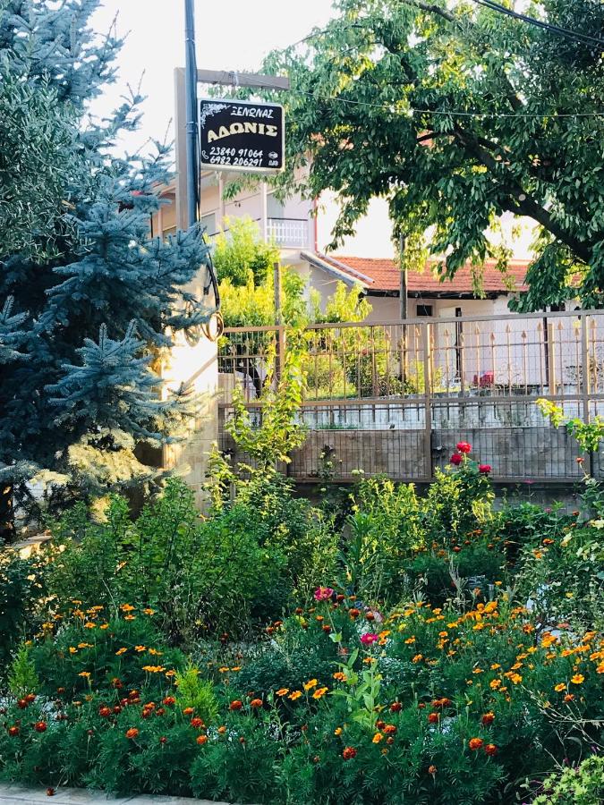 Chambre Double ou Lits Jumeaux avec Balcon