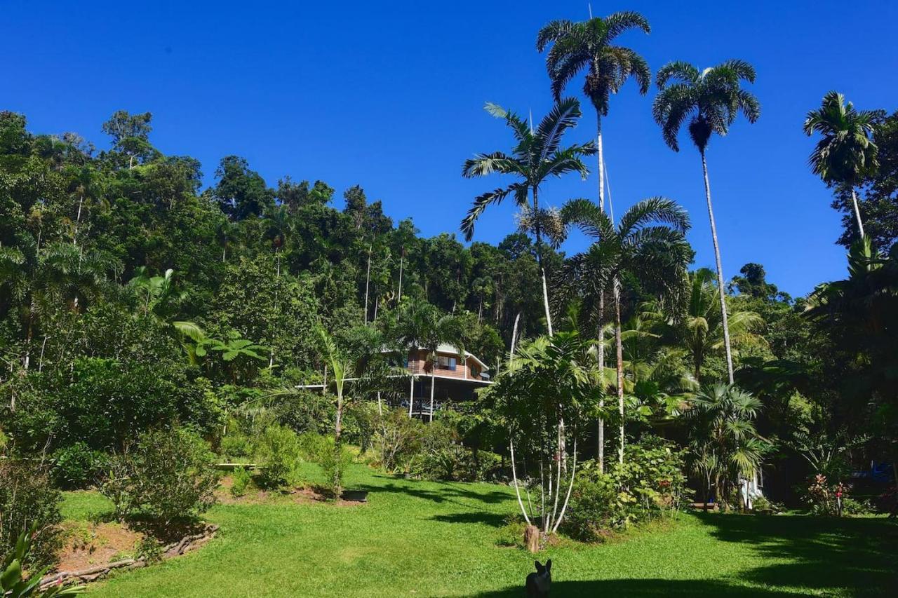 B&B Diwan - A Daintree Garden - Bed and Breakfast Diwan