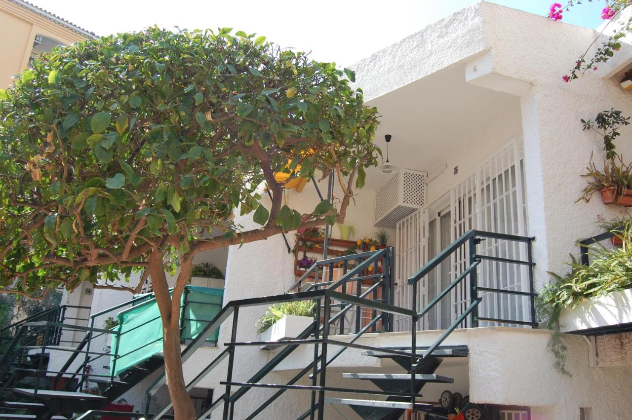 El Limonero - B&B