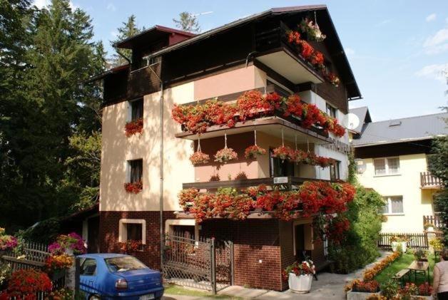Willa Andromeda - B&B Karpacz