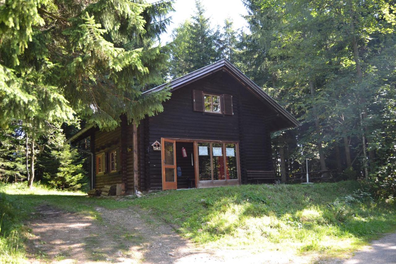 B&B Lunz am See - Ferienhütte Hochalm - Bed and Breakfast Lunz am See