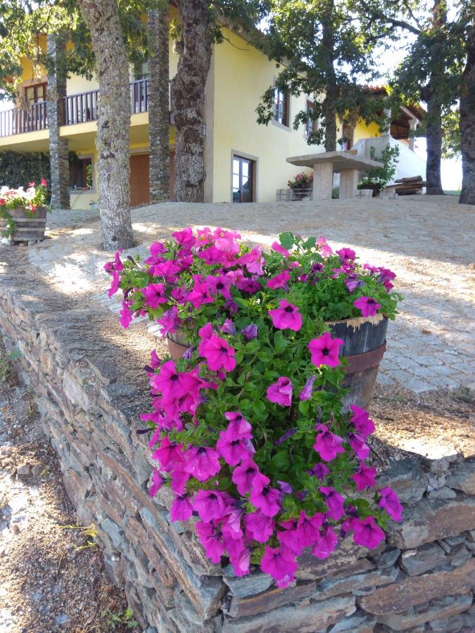 Quinta do Adil - B&B