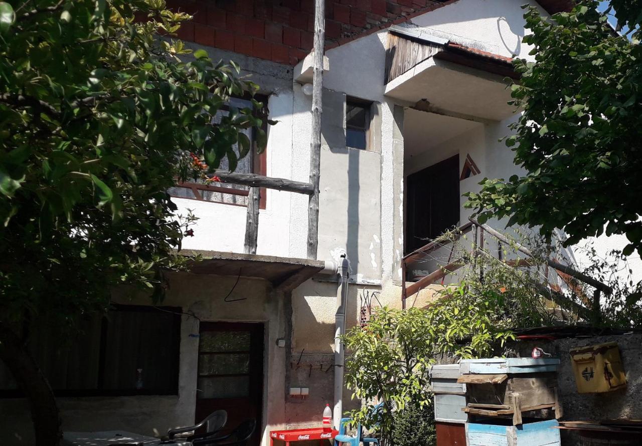Zavojsko jezero Pirot - smestaj Manic - B&B Gostuša