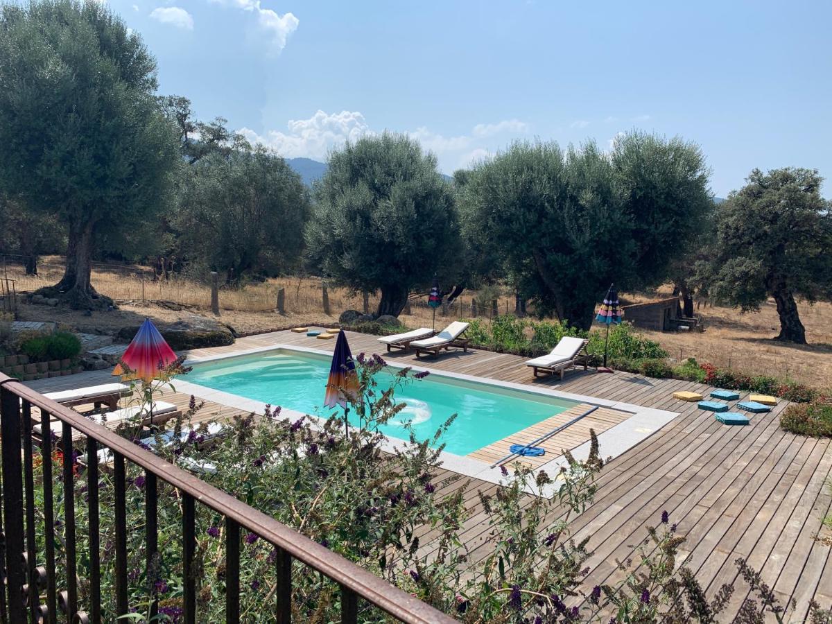 Domaine de Tappa - Casa Filicina - Bed and Breakfast