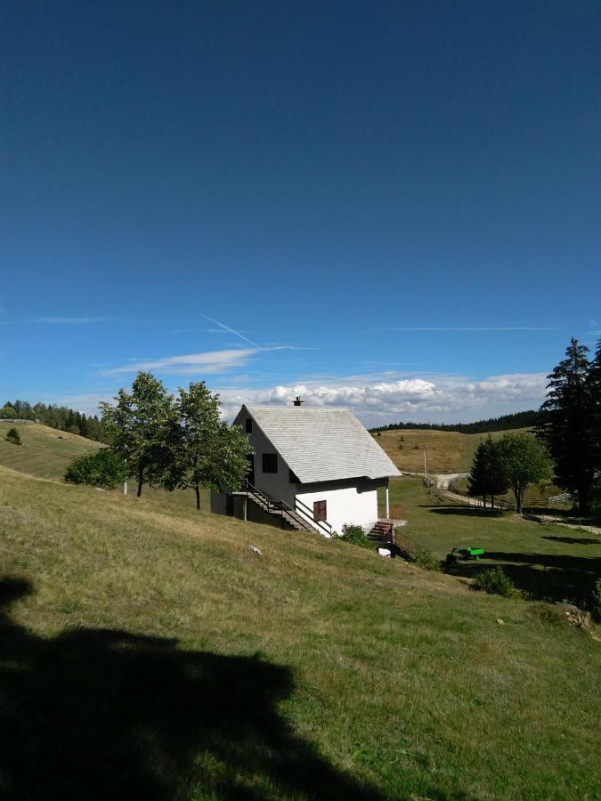 Bosaca apartment - B&B Žabljak