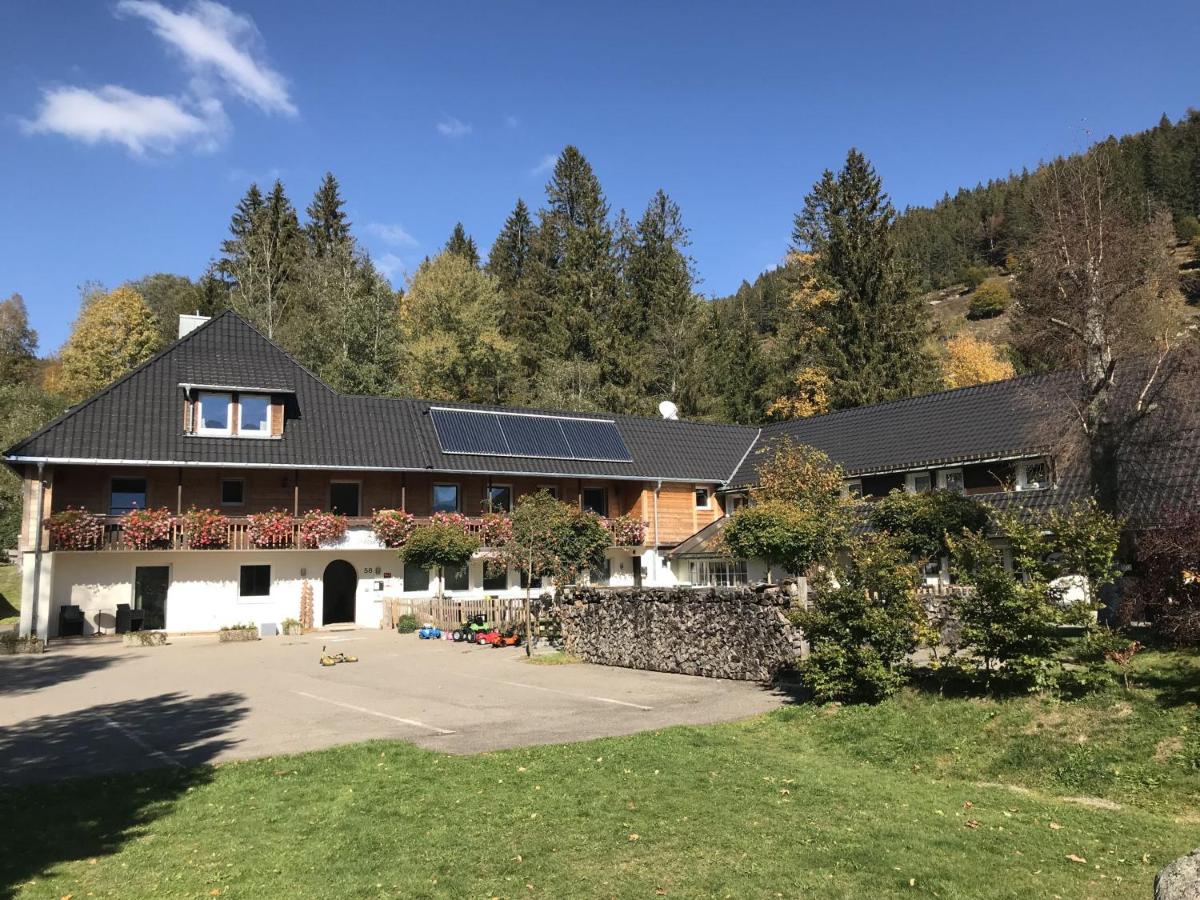 B&B Saint Blasien - Albhof Am Wasserfall - Bed and Breakfast Saint Blasien