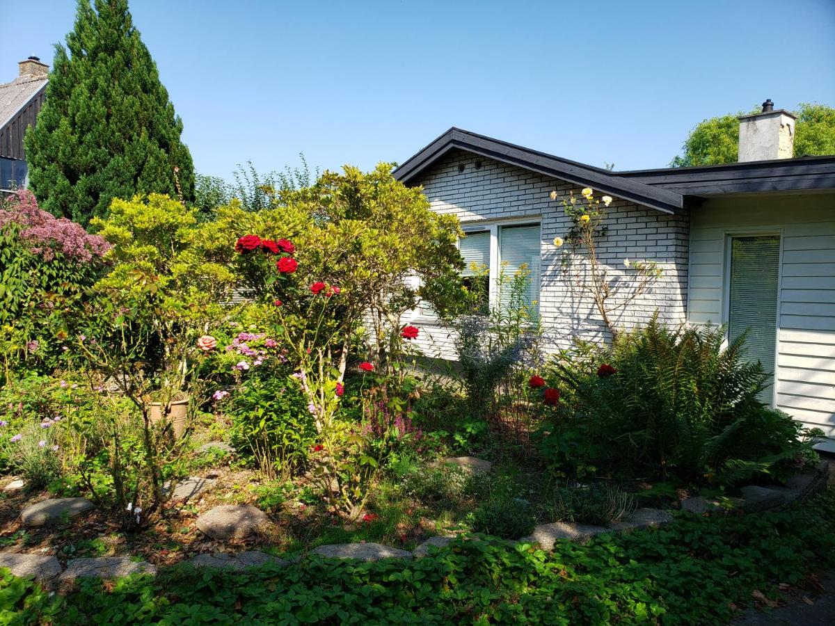 Mini-apartment in the flowerbed - B&B