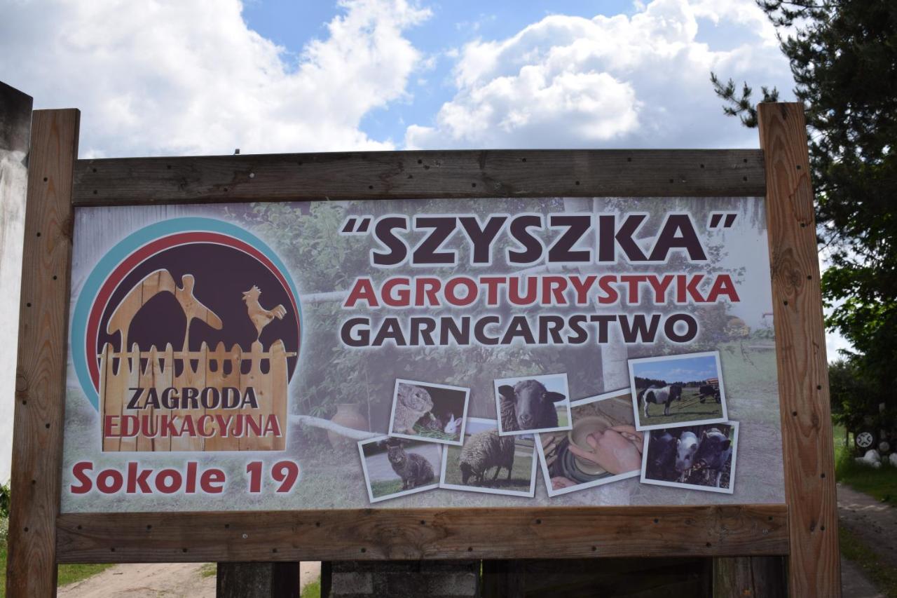 B&B Polnica - Agroturystyka SZYSZKA - Bed and Breakfast Polnica