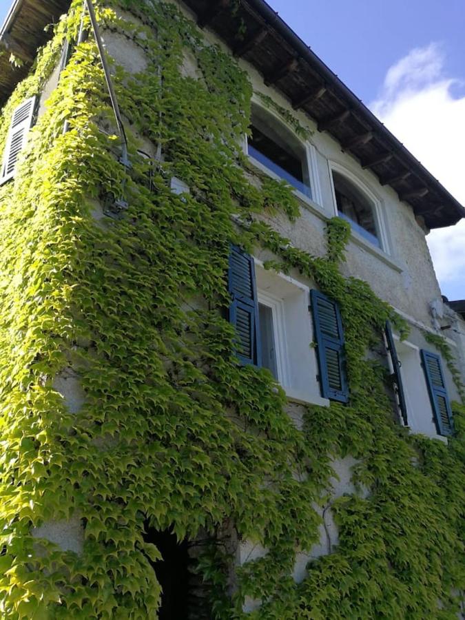 B&B Pieve di Teco - Casale Maria Mafalda - Bed and Breakfast Pieve di Teco