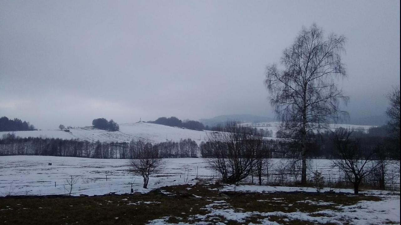 Novohradské hory - pronájem na samotě u lesa - B&B