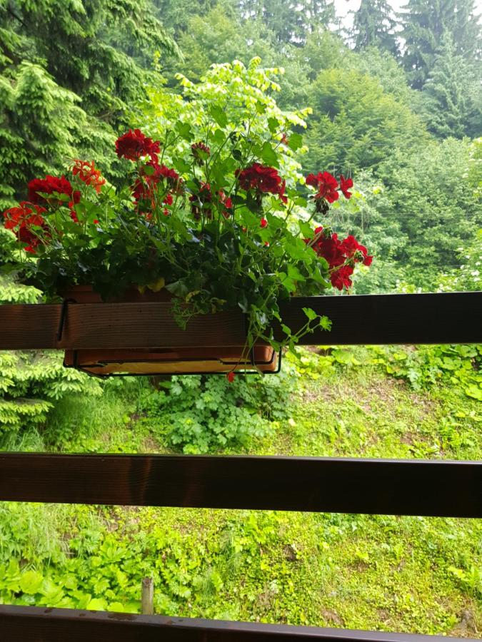 Camera Queen con Balcone