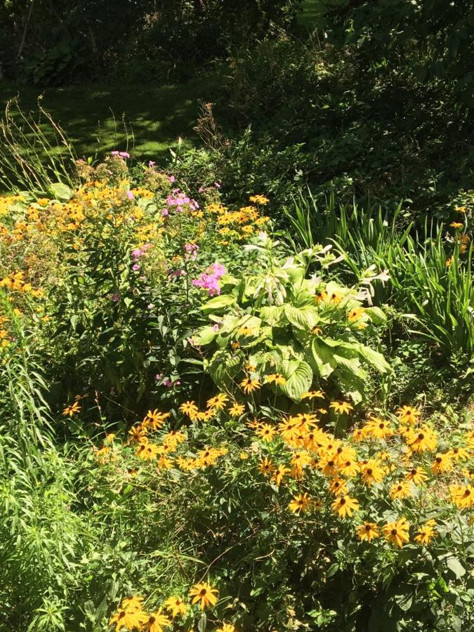 Kamer met Queensize Bed en Uitzicht op de Tuin