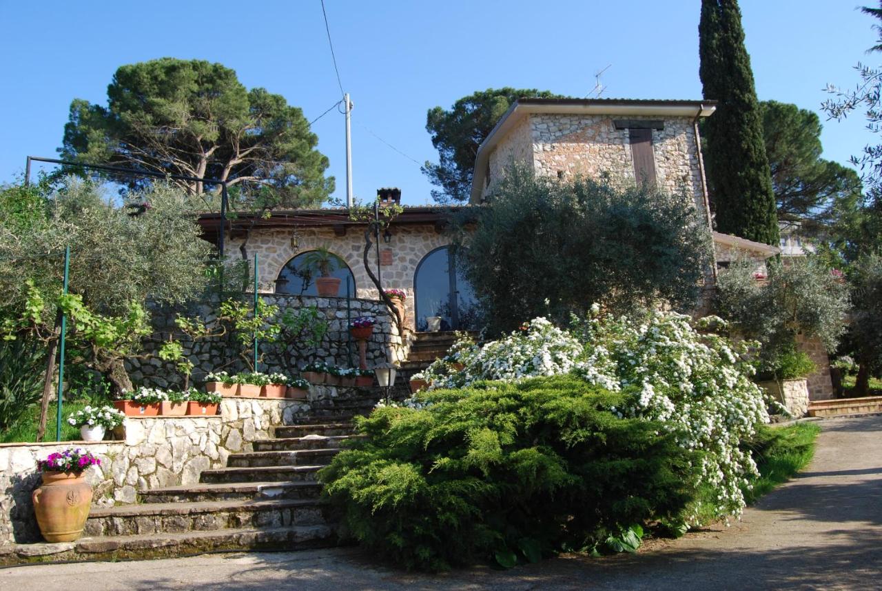 B&B H.M. - B&B Sonnino
