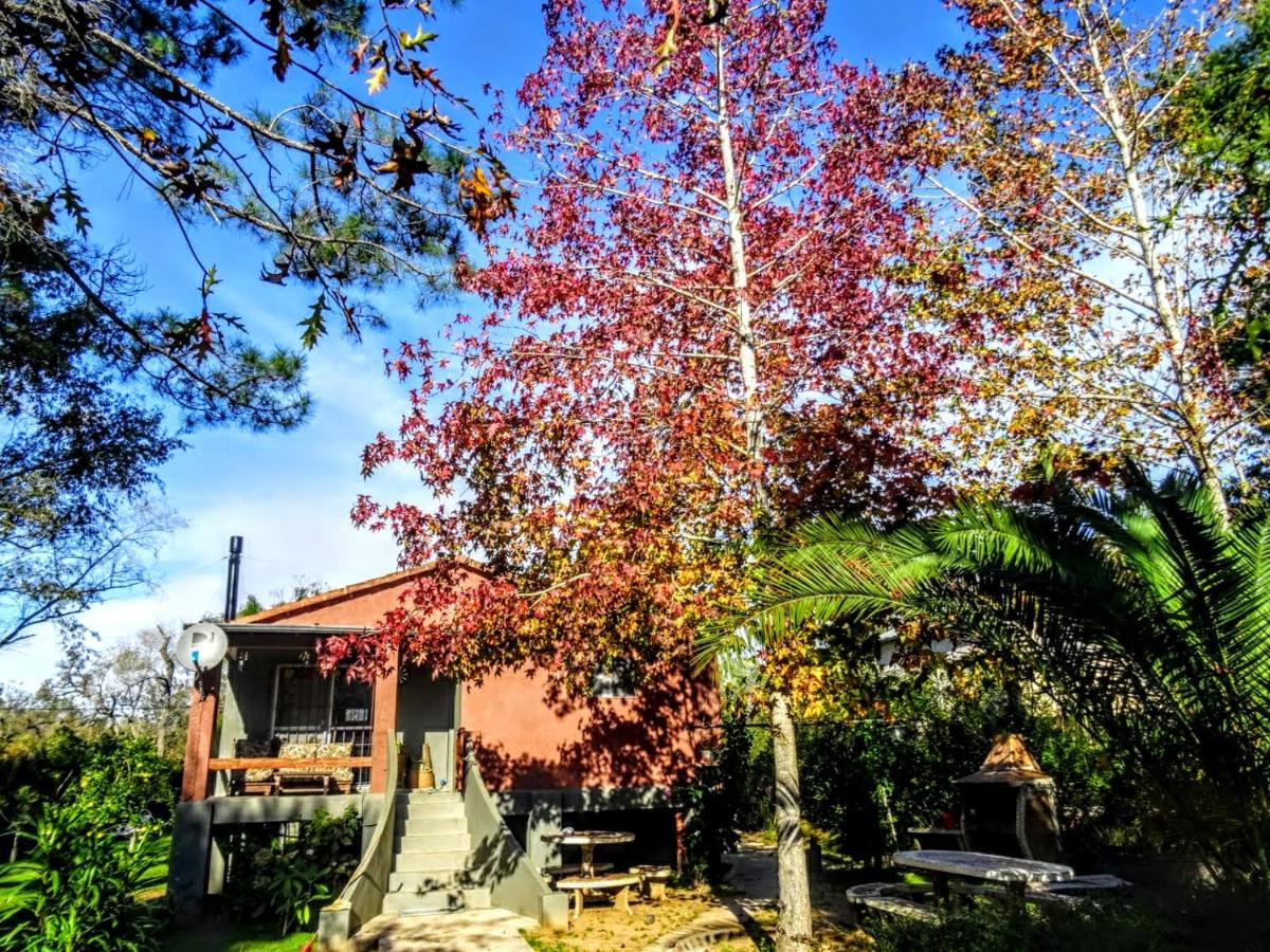 Gaia Hostal - B&B