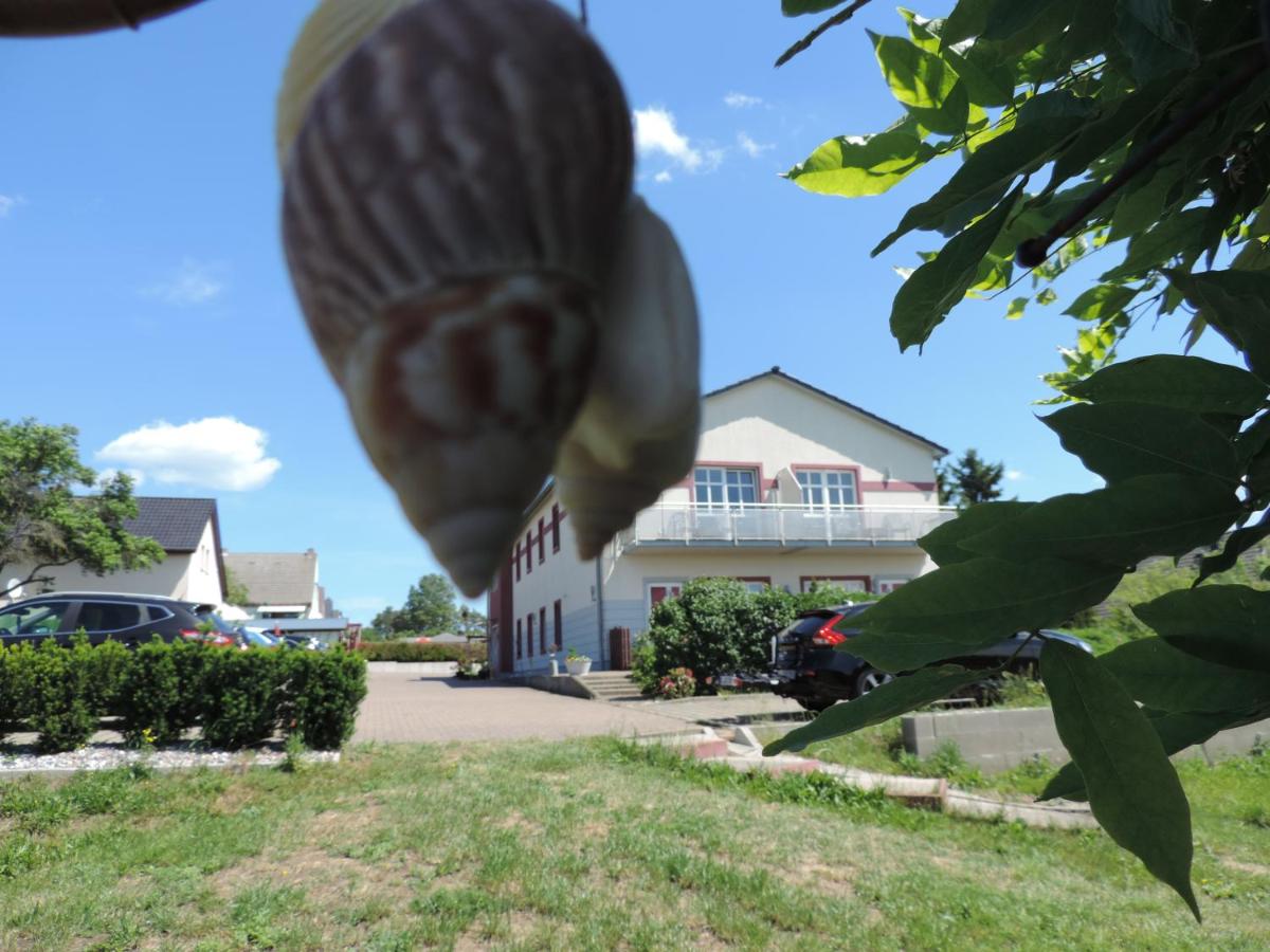 Pension Achteridyll - B&B