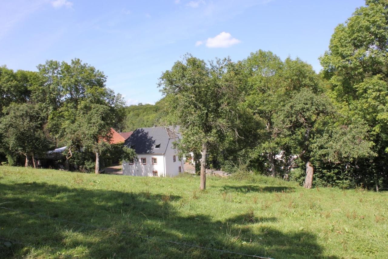 B&B Strohn - Ferienhaus Sprink Vulkaneifel - Bed and Breakfast Strohn