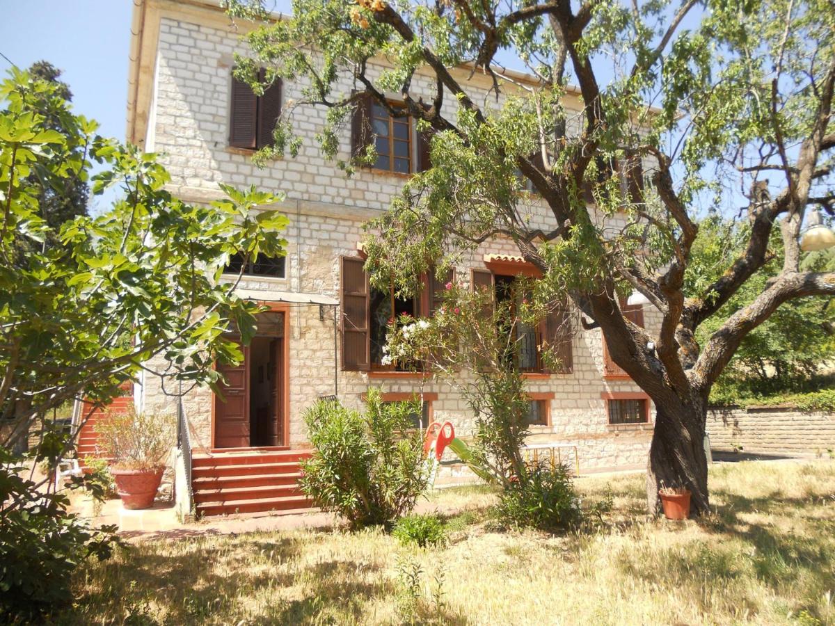 Il Vecchio Mandorlo - B&B Sirolo