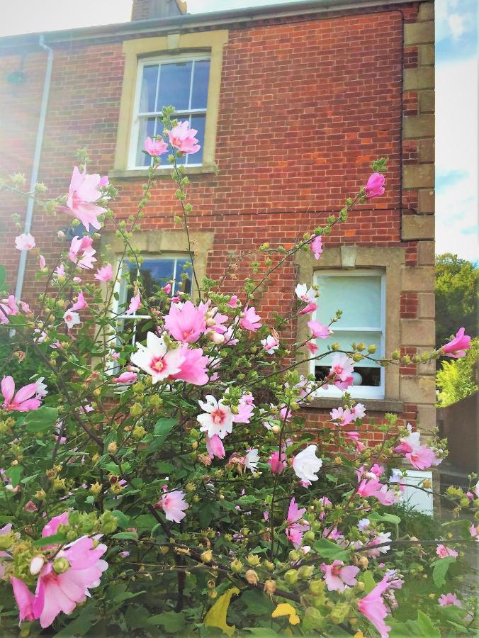 Bridport Garden Suite - B&B