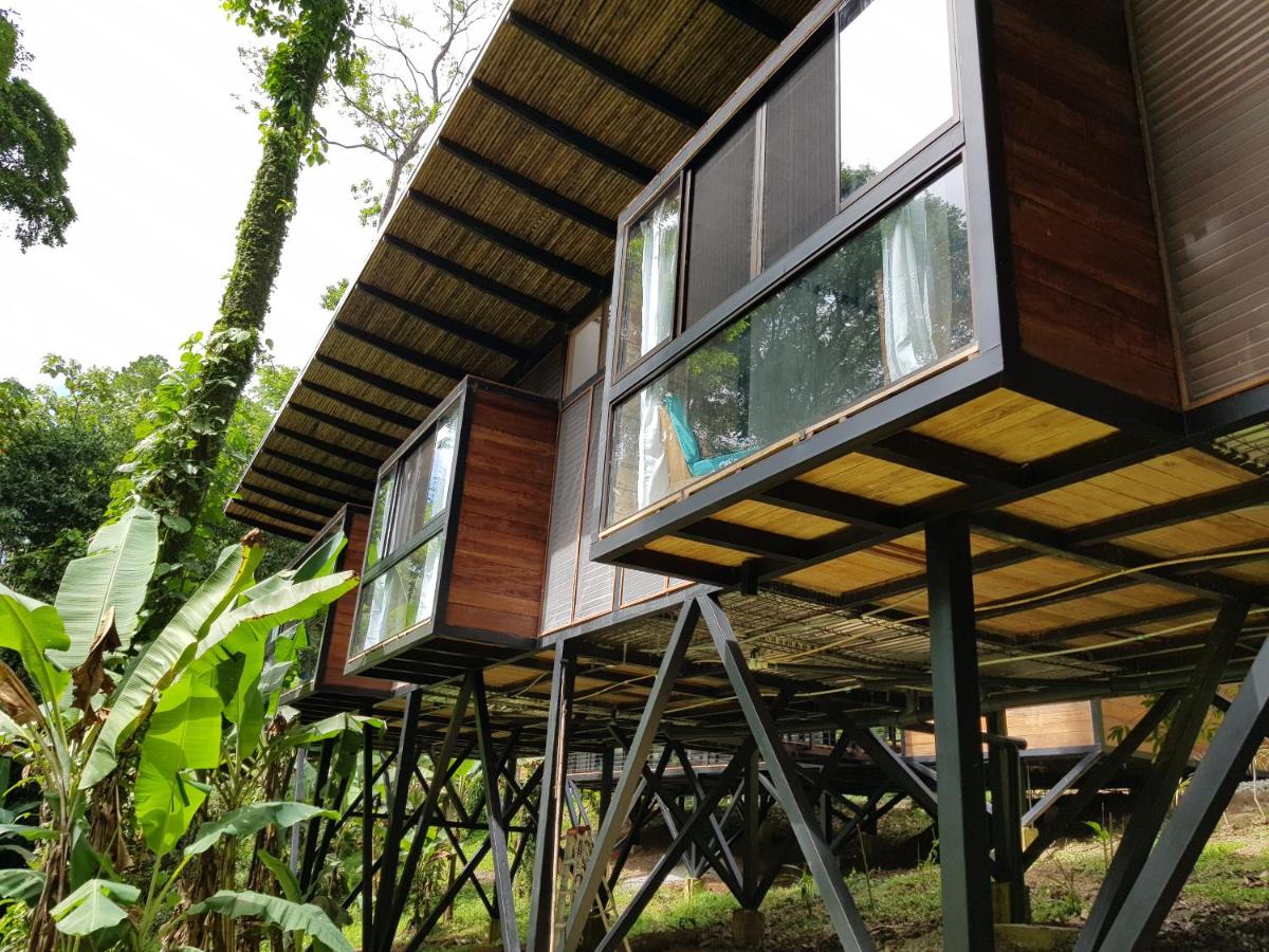 La Shamana - Ecological Concept in Jungle - B&B Cahuita