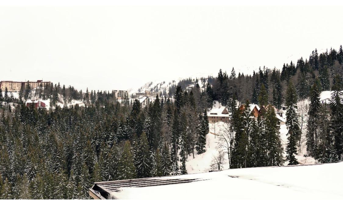 Apartment B231-Aparthotel Vučko- private host - B&B Jahorina