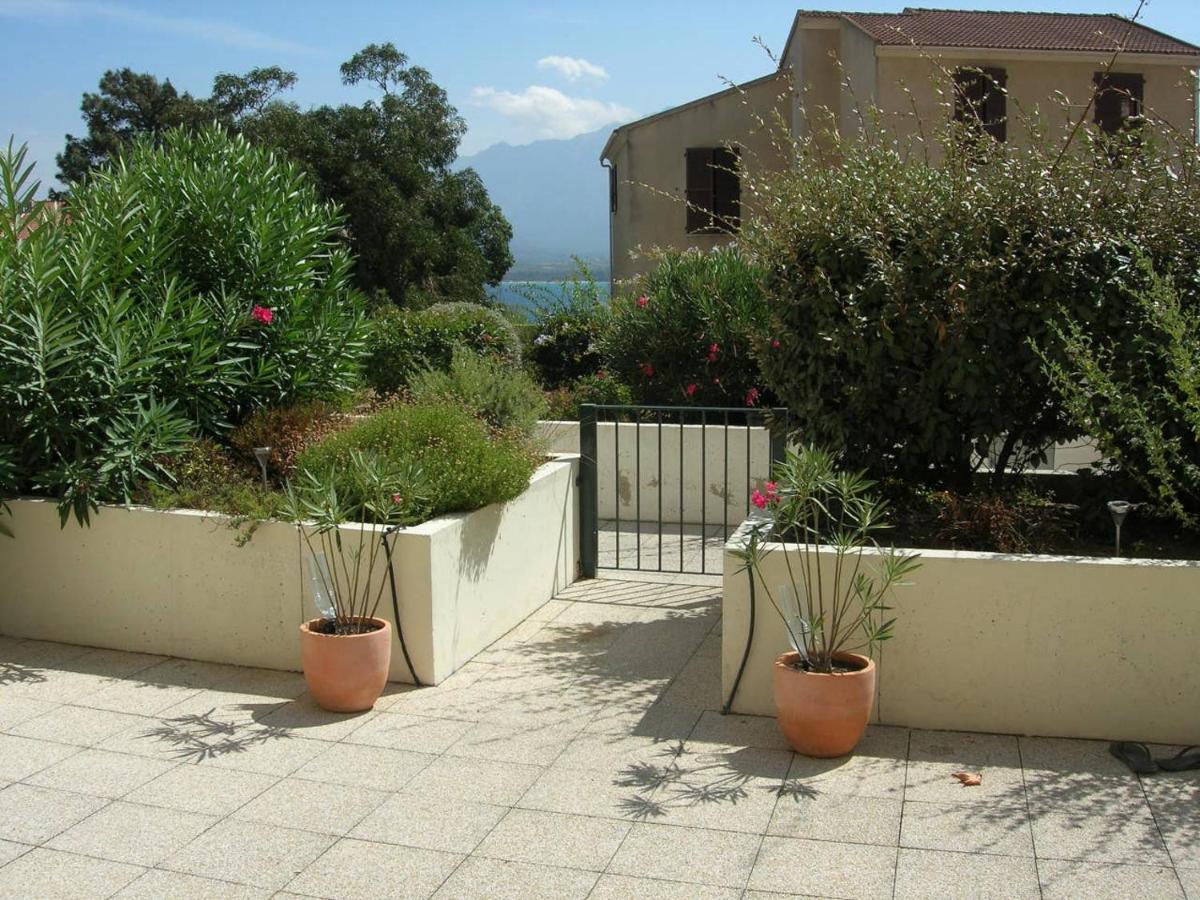 B&B Calvi - RESIDENCE SANTA REGINA - Bed and Breakfast Calvi