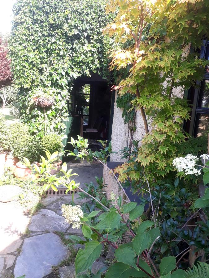 Chambre Lits Jumeaux Spacieuse