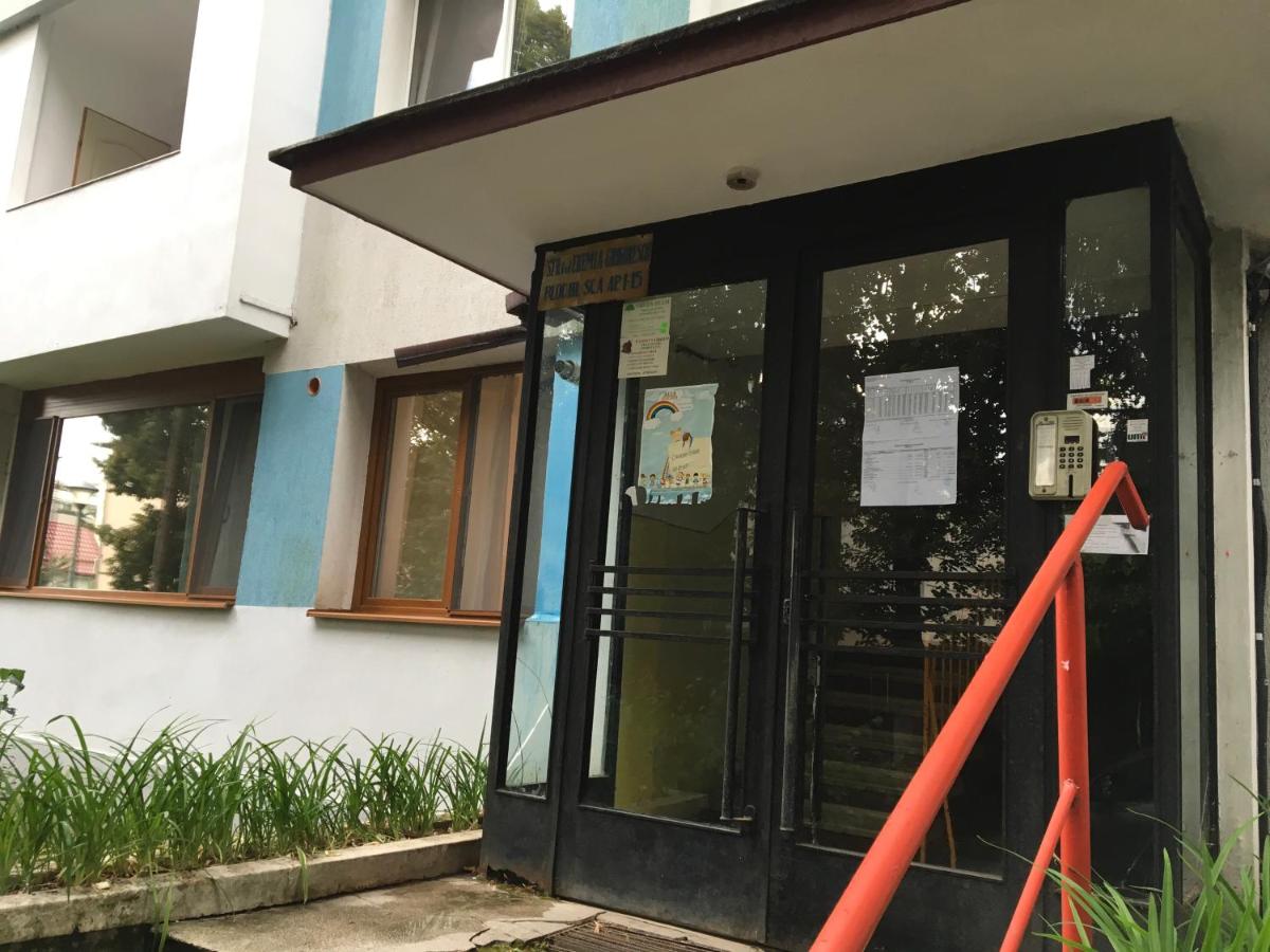 Peles Green Apartment - B&B Cluj-Napoca