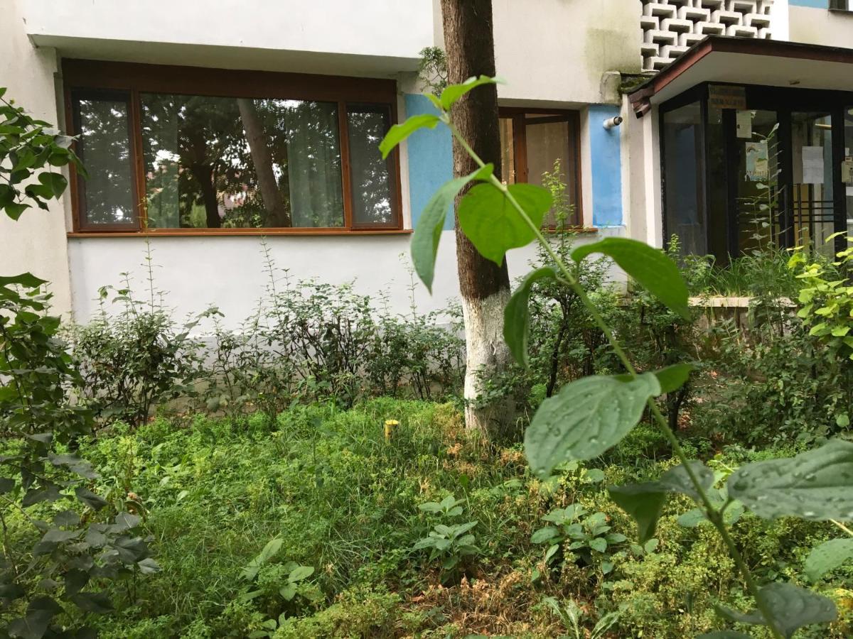 Peles Green Apartment & Piano - B&B Cluj-Napoca