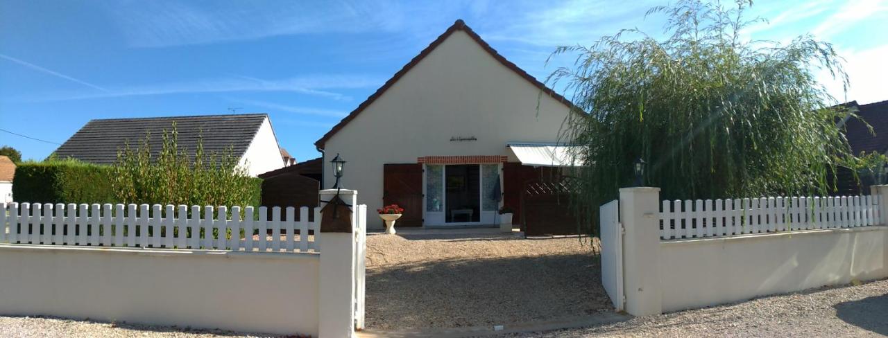 B&B Bracieux - Les Guernazelles - Bed and Breakfast Bracieux