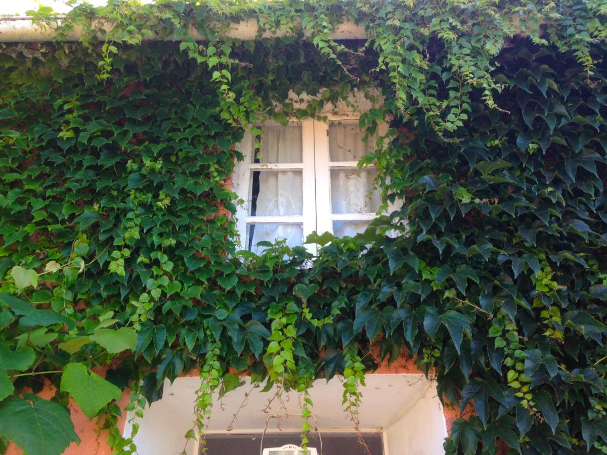Casa Lourido - B&B