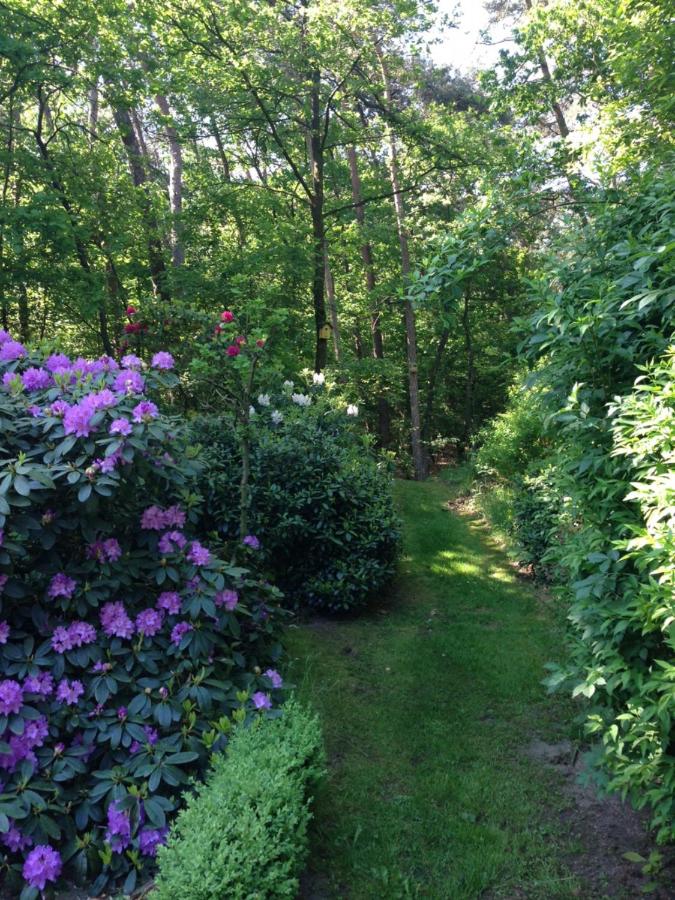 Natuurpark Hoefbos Boshuisje Veluwe - B&B Otterlo