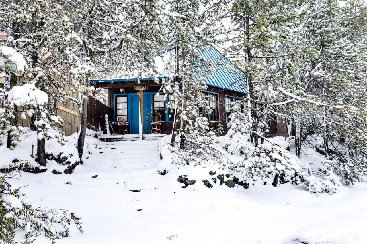 Flying Stag: Main Lodge - B&B