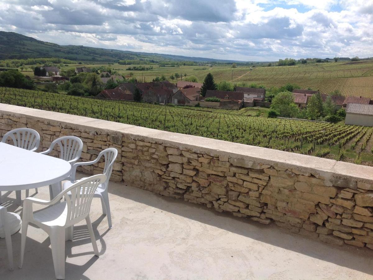Au Pied des Vignes - Maison au Coeur du Vignoble - Ferienwohnung