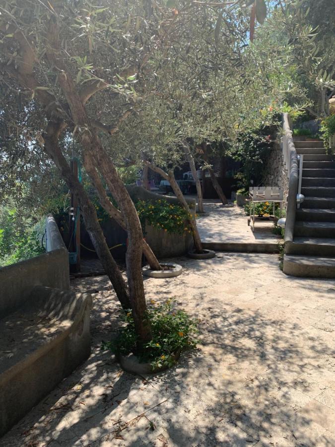 Villa Pina - B&B