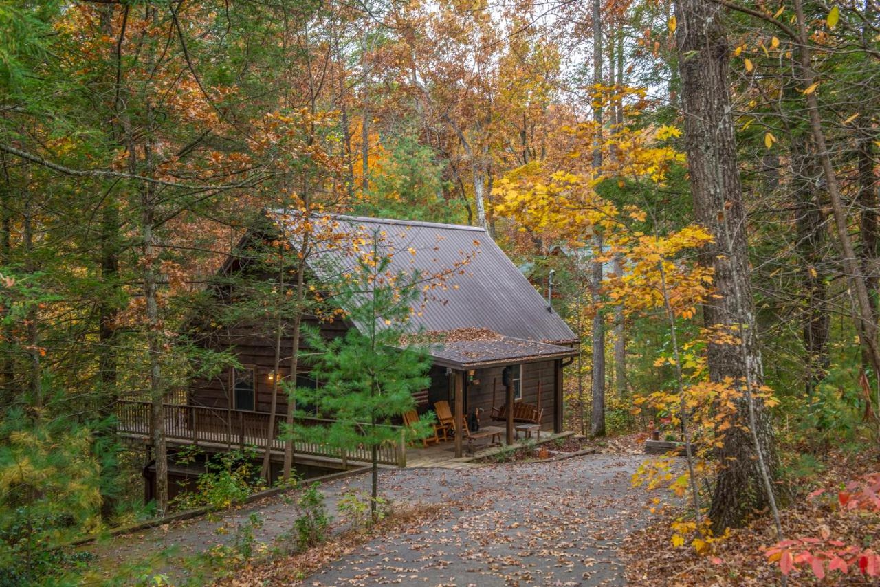 Two Bears Cabin - B&B