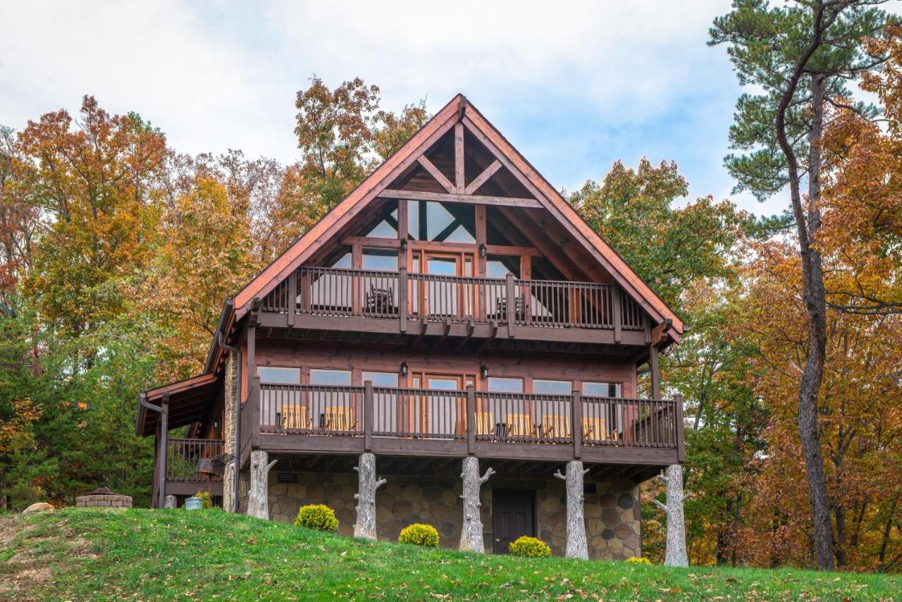 The Laughing Salamander - B&B