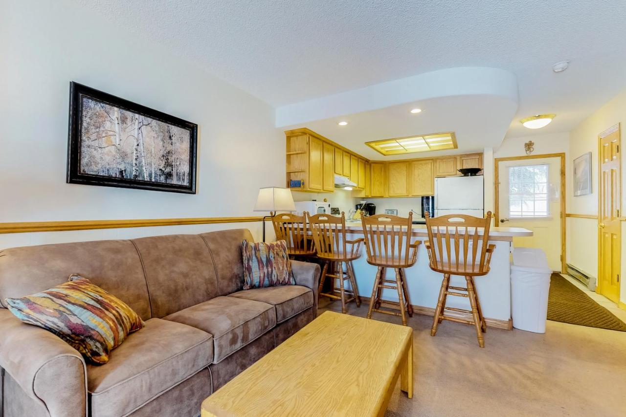 Snowdance Condo A101 - B&B