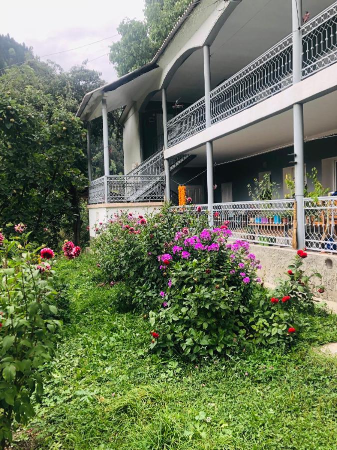 Guest House Vivaushba - Bed and Breakfast Bagvdanari