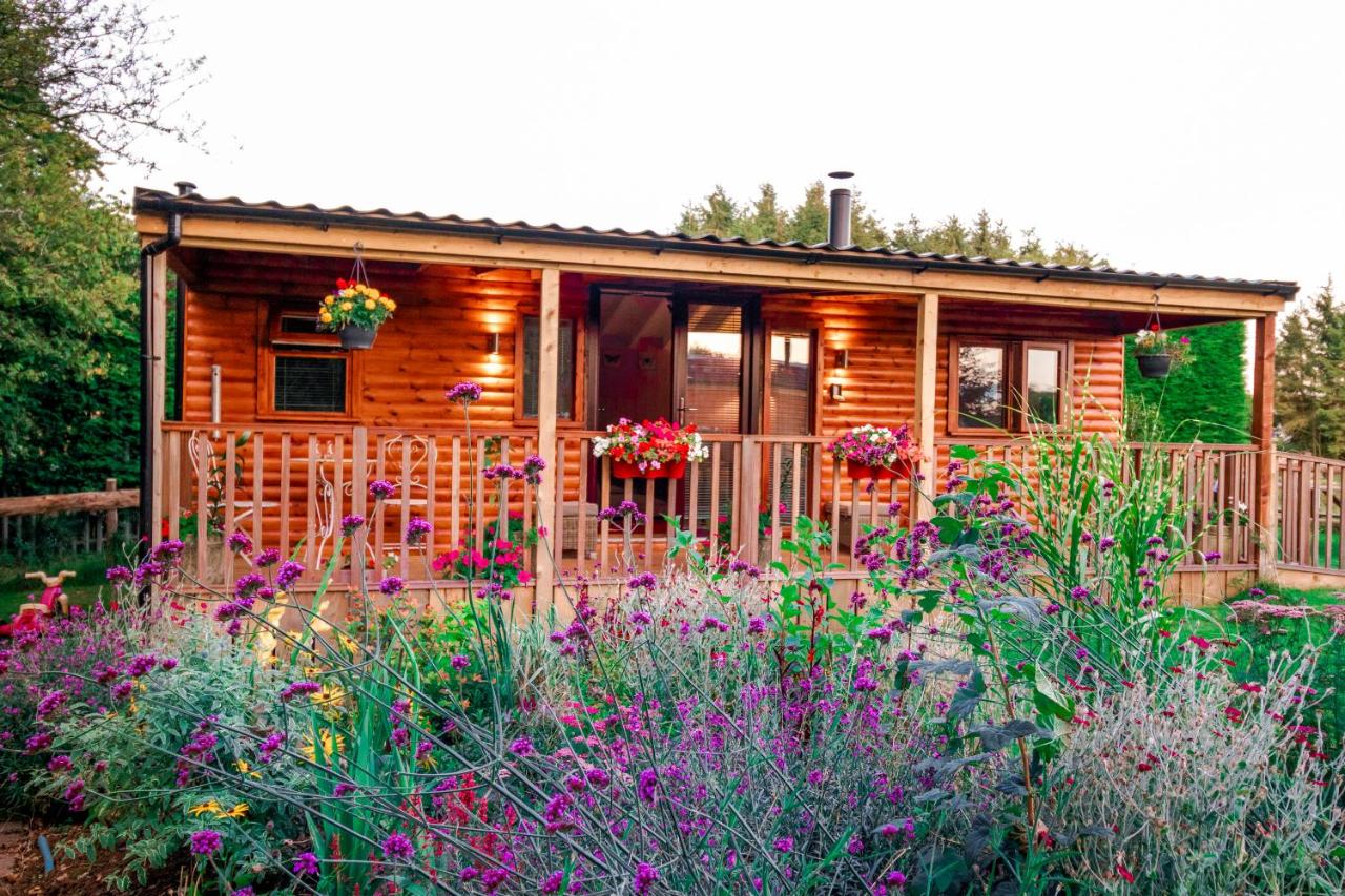 B&B Stroud - Cherry Tree Glamping - Bed and Breakfast Stroud