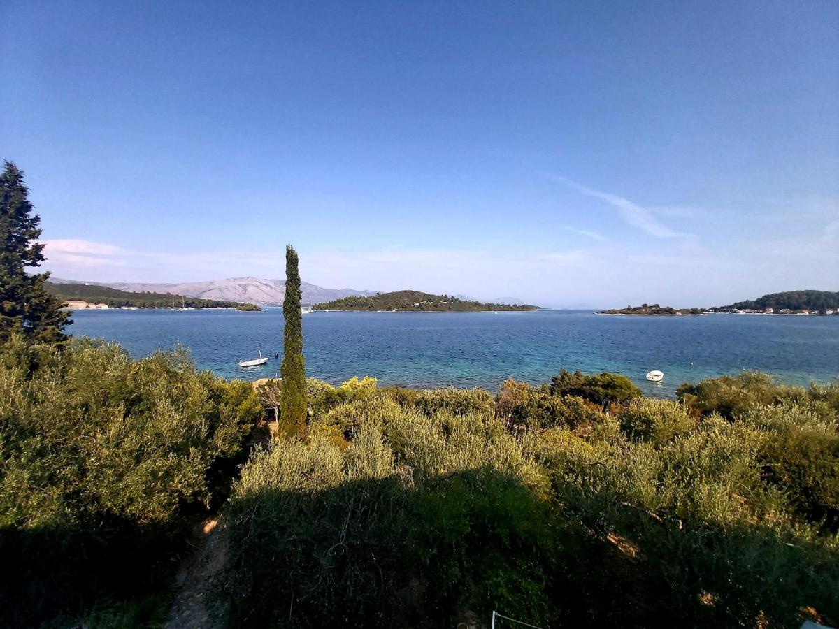 Apartment Tinka - B&B Curzola